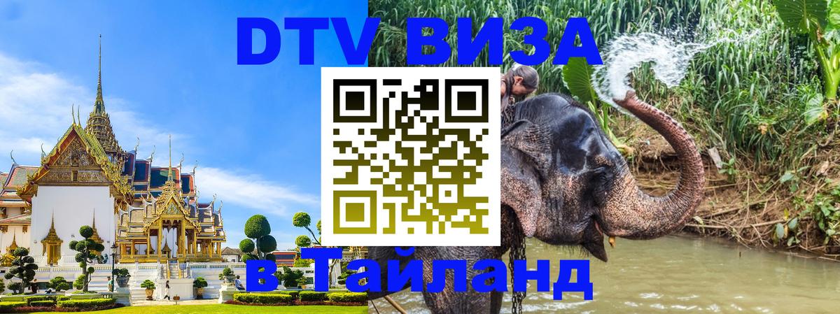 Сколько стоит DTV виза — актуальные цены, оформление даже без документов - Калининград 